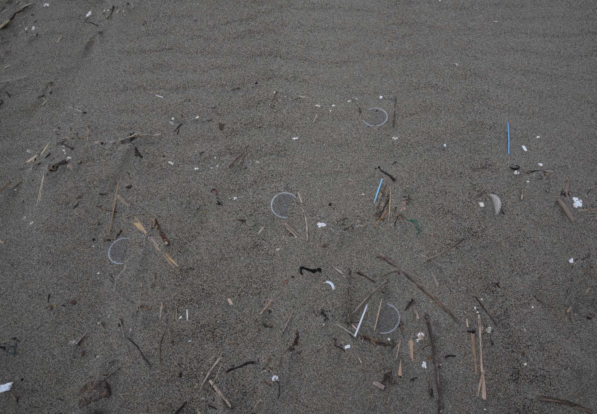 Ancora tanti i dischetti sulle spiagge di Ostia